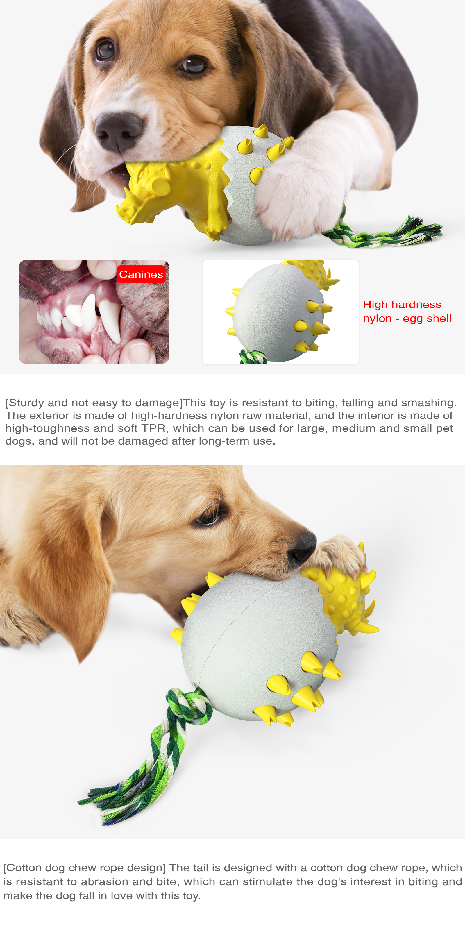 Title 4, Wild Boar Egg Dog Toothbrush Molar Stick for do...