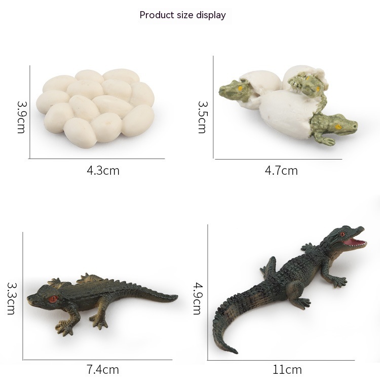 Title 8, Cycle de croissance des plantes et des animaux ...