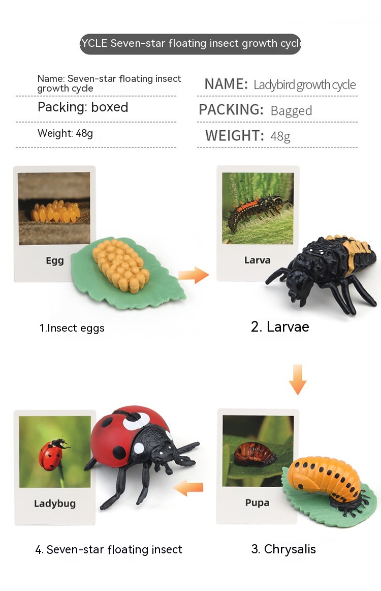 Title 20, Cycle de croissance des plantes et des animaux ...