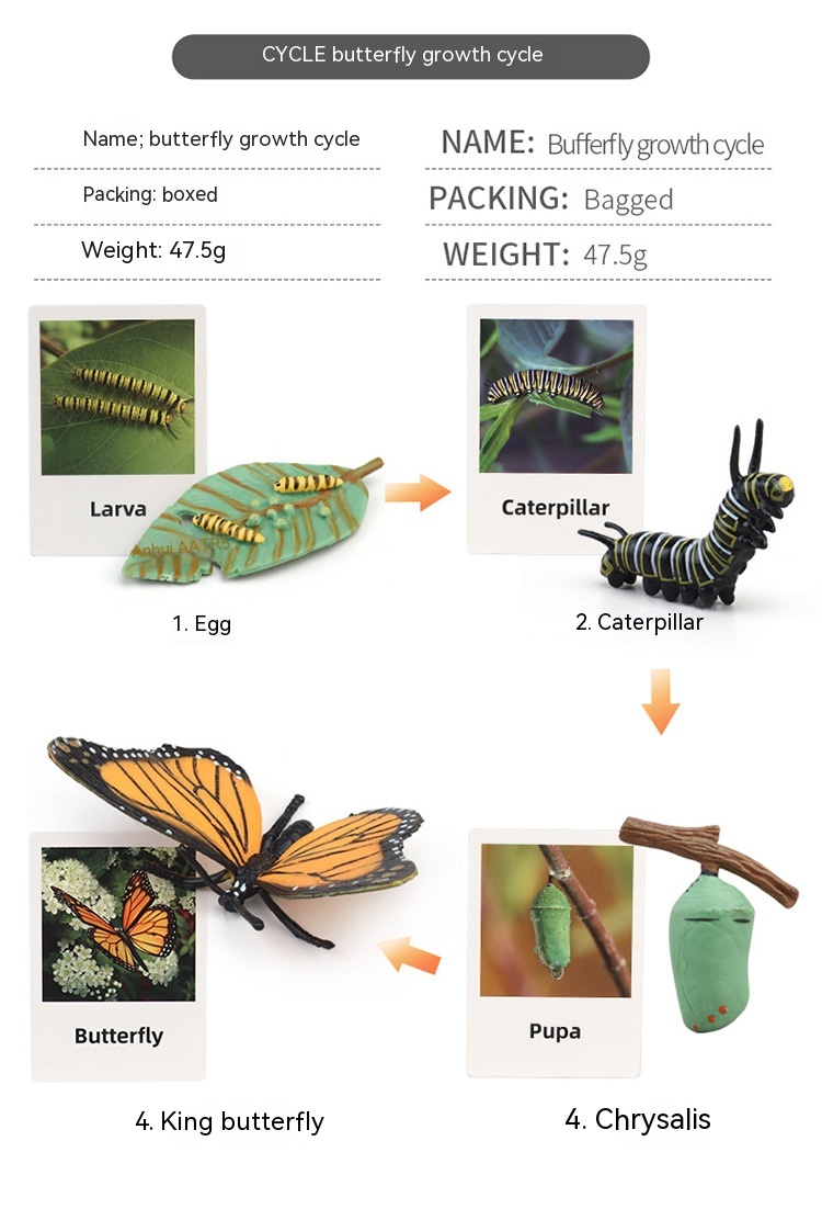 Title 24, Cycle de croissance des plantes et des animaux ...