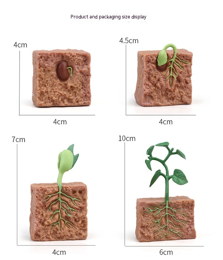 Title 25, Cycle de croissance des plantes et des animaux ...