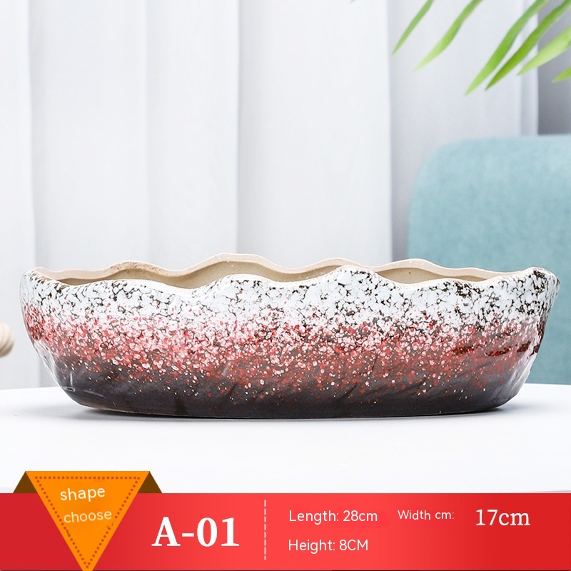 Title 9, Succulent Flower Pot Shallow Mouth Oval Rectang...