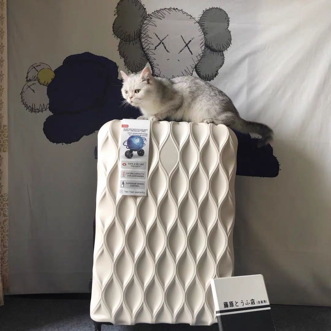 Luggage & Travel Bags