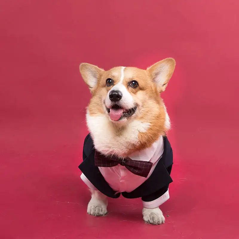 Pet Dog Suit Swallowtail Dress Shirt