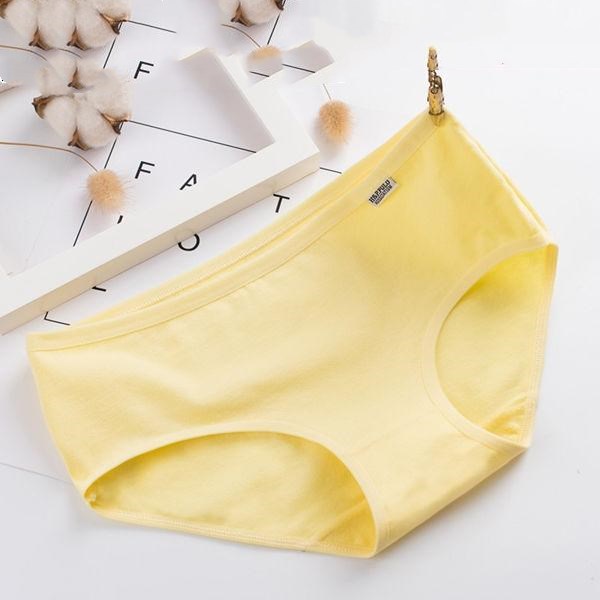 Title 9, Ladies Fashion Mid-Waist Panties