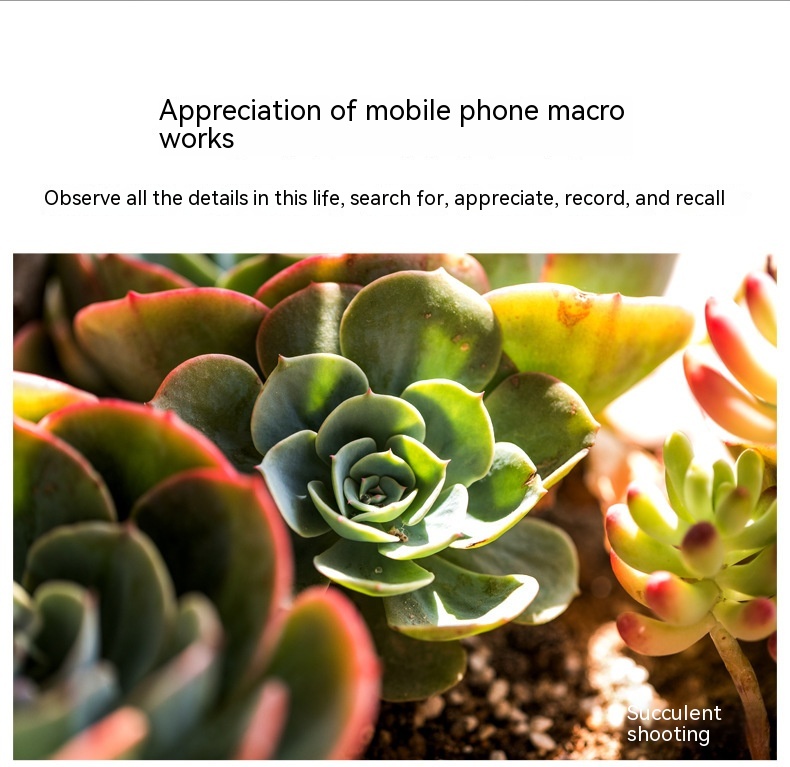 30-120mm Long-distance Mobile Phone Rear Macro Lens - Image 4
