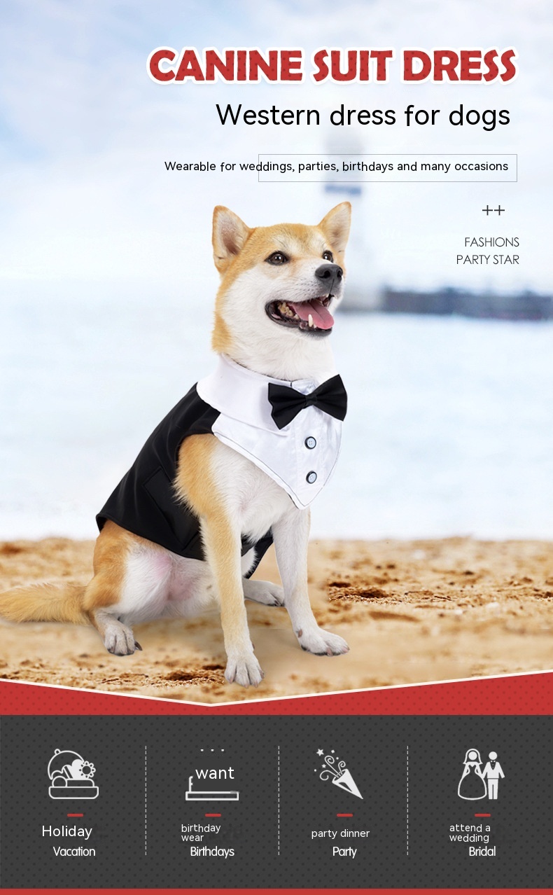 Title 3, Holiday Wedding Party Dog Clothes. Celebrate th...