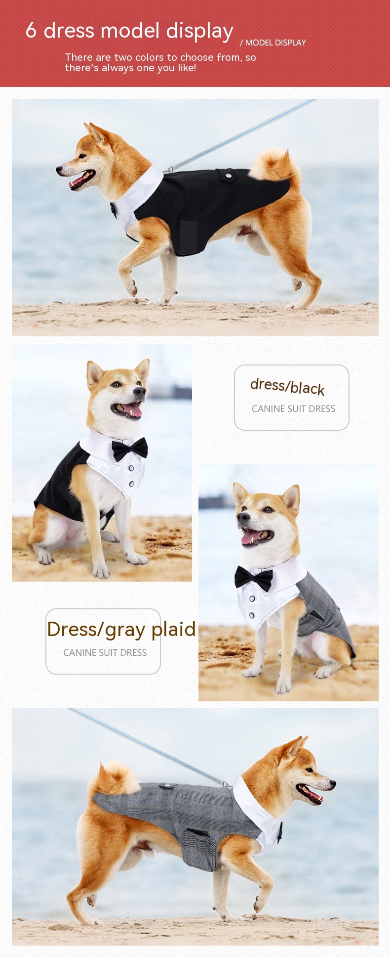 Title 6, Holiday Wedding Party Dog Clothes. Celebrate th...