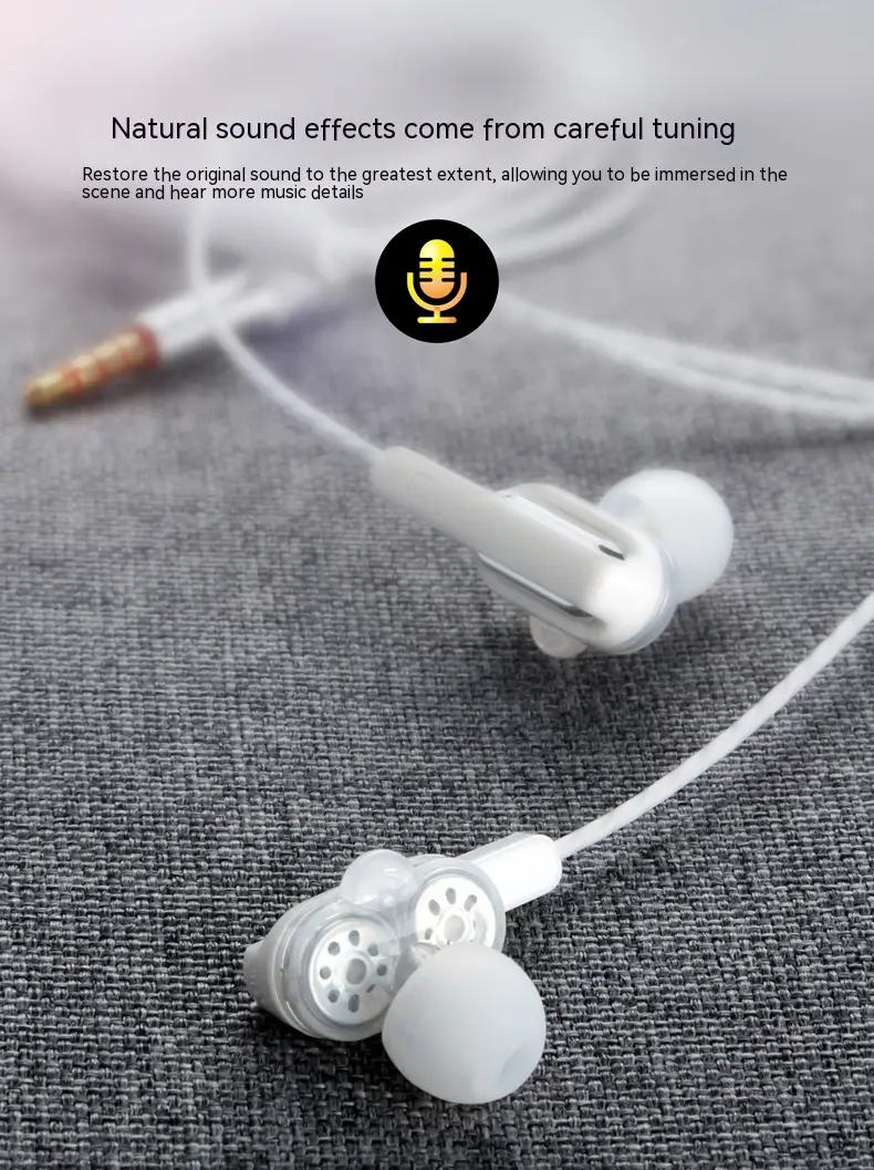 Private Model X3 Wired Headset Double Moving Coil Dynamic Bass Boost Music