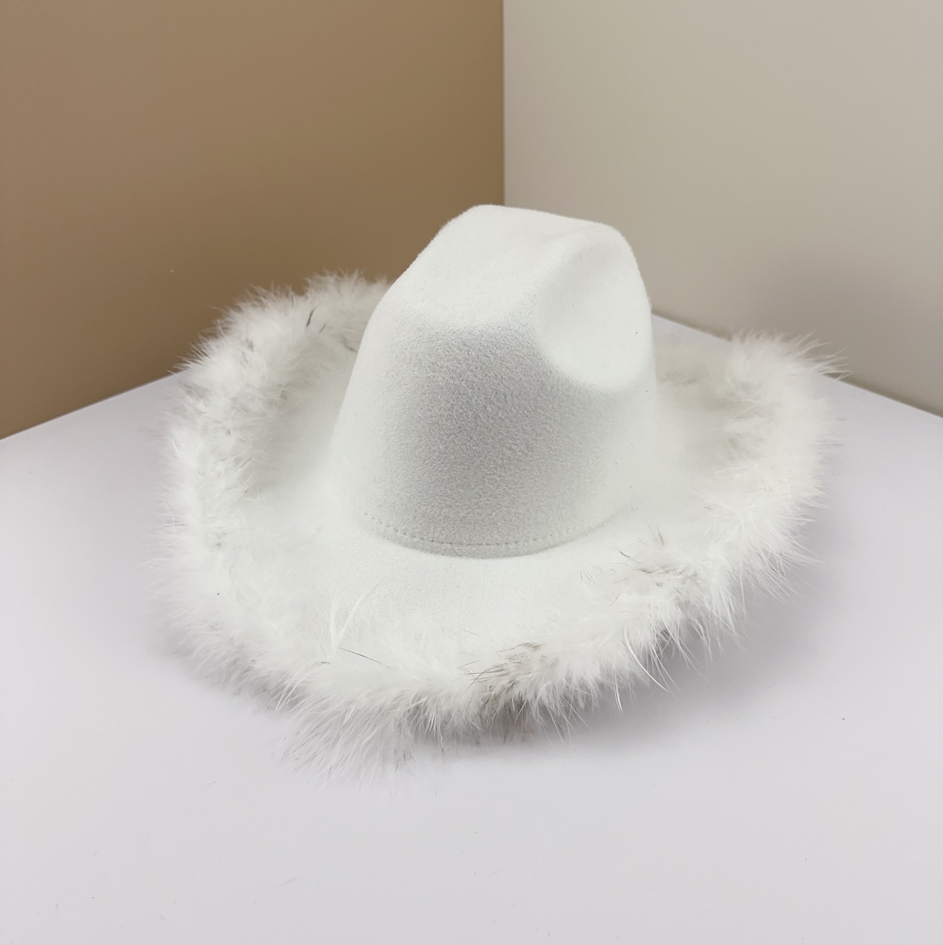 Broad-Brimmed Hat - Feather Brimmed Woolen Hat