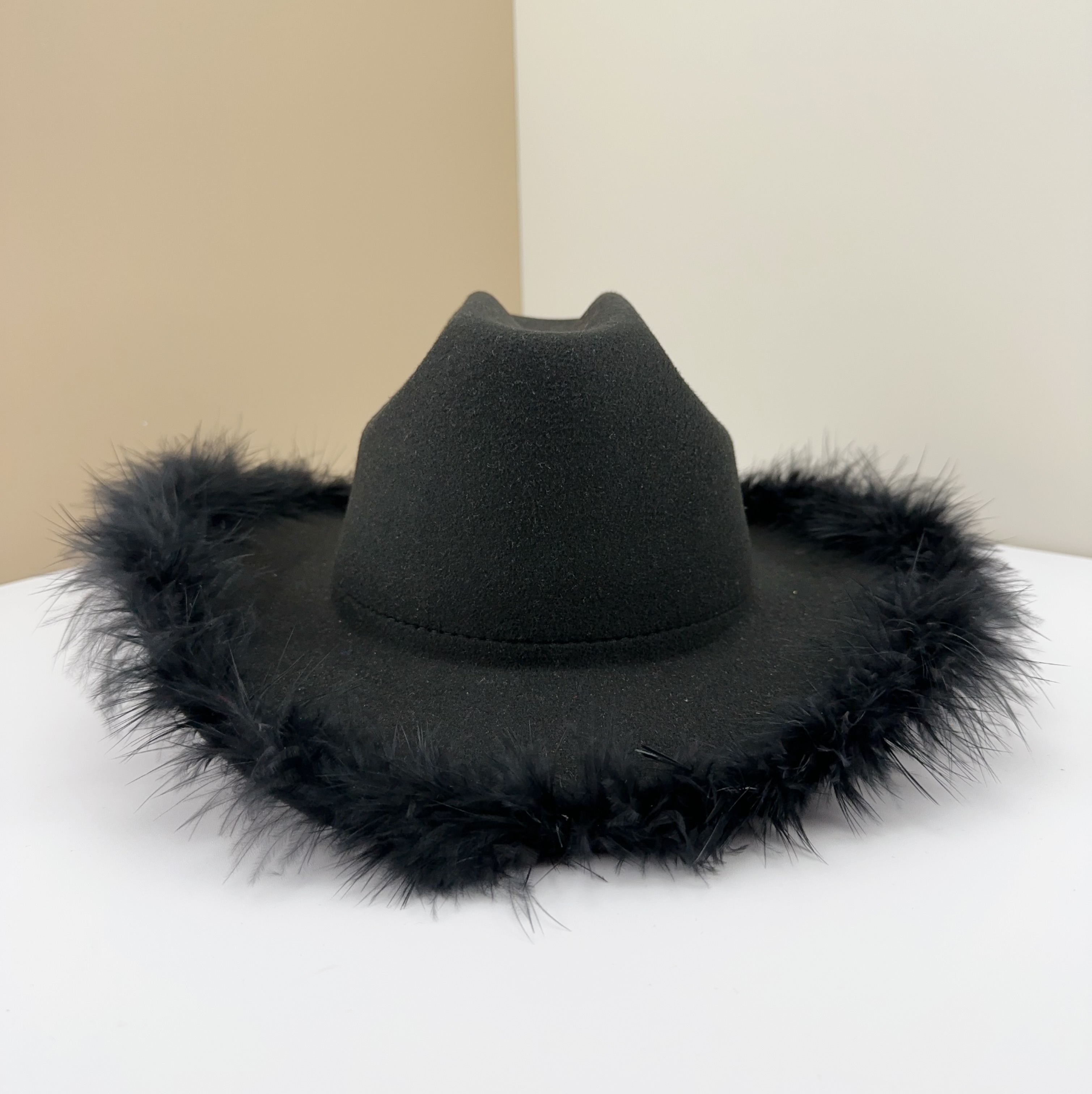 Broad-Brimmed Hat - Feather Brimmed Woolen Hat