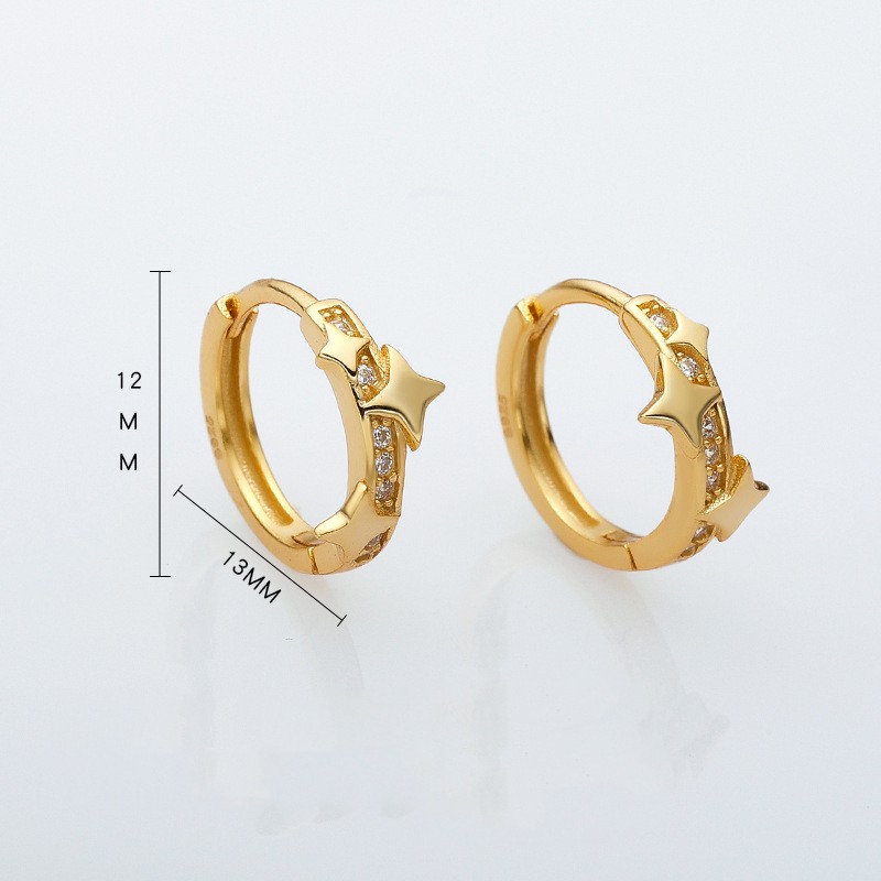 Sterling Silver European And American Temperament Entry Lux Earrings