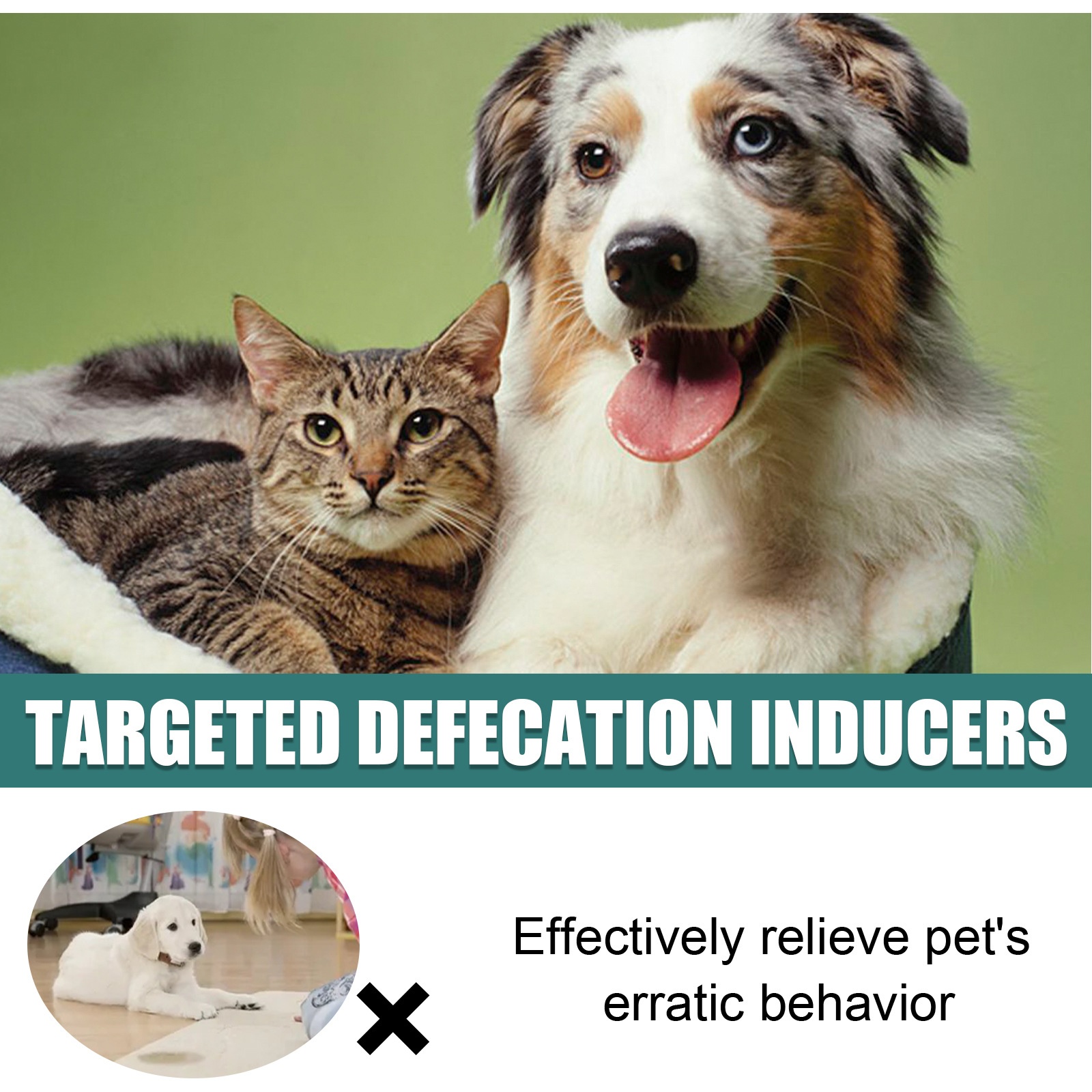 Pet Targeted Defecation Inducer Auxiliary Training Pet Urine Targeted ...