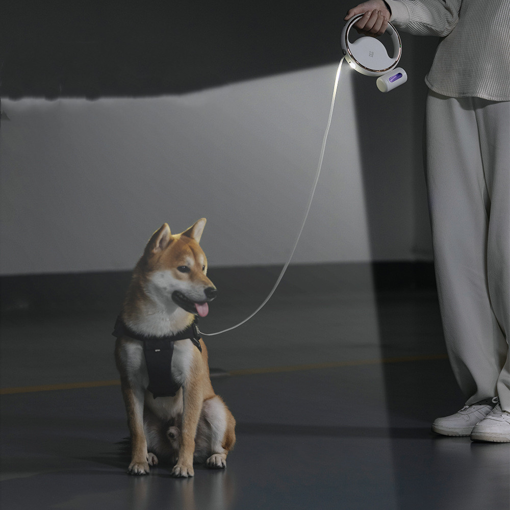 Retractable Dog Leash