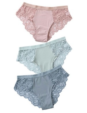 Title 4, 3-Piece Set Of Cotton Lace Ladies Underwear