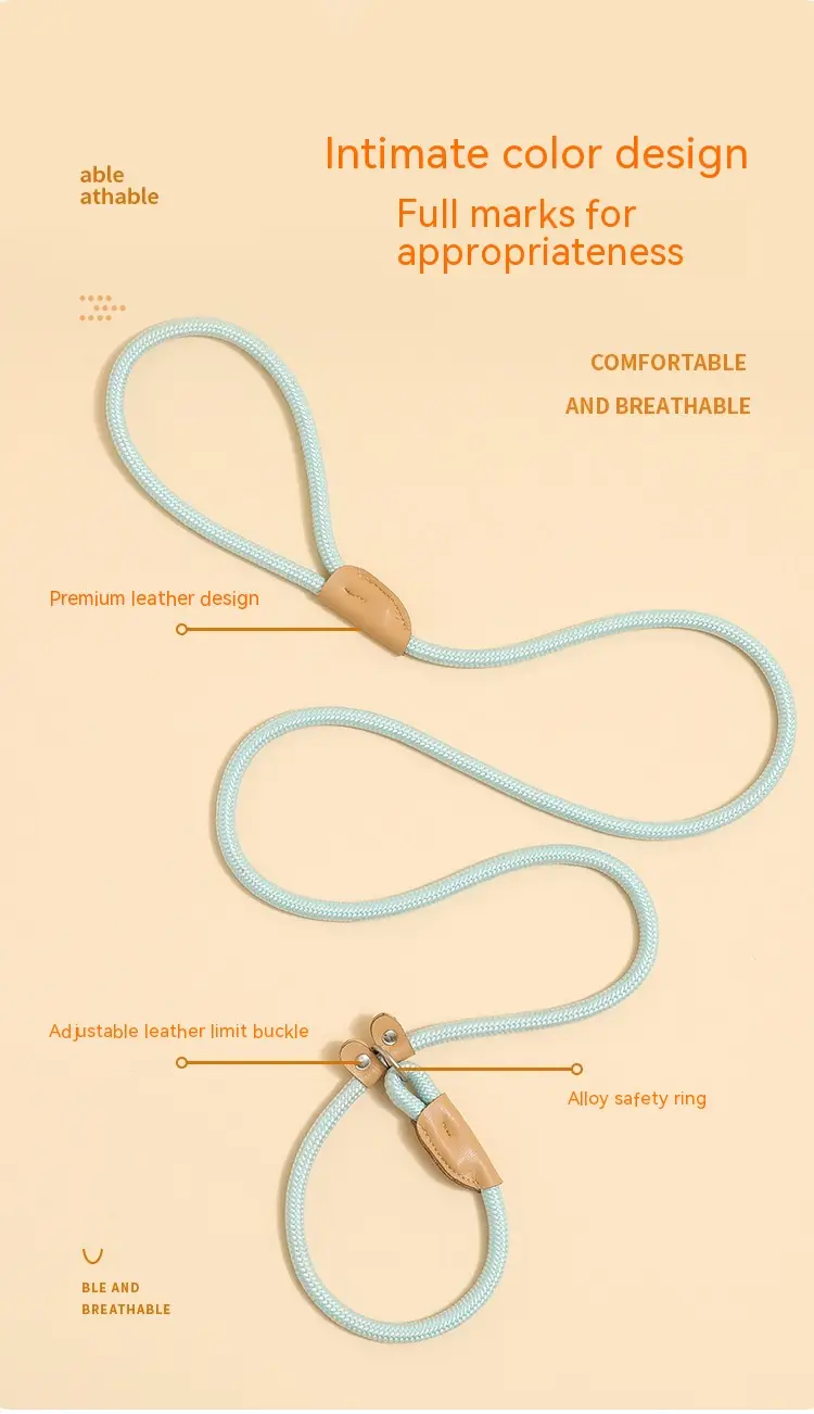 Household Dog Pet Hand Holding Rope