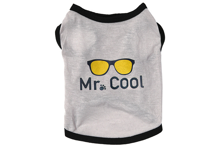 MR.cool_03.jpg