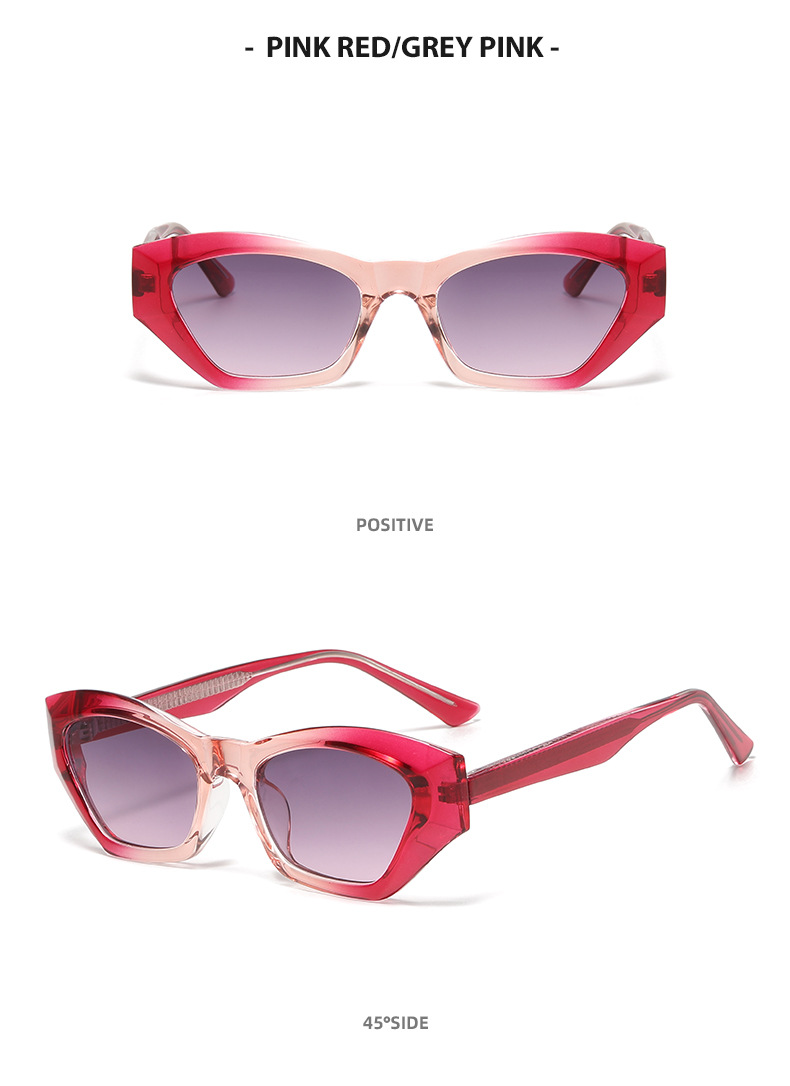 Title 3, Polygonal Cats Eye Core Insert TR Sunglasses o...