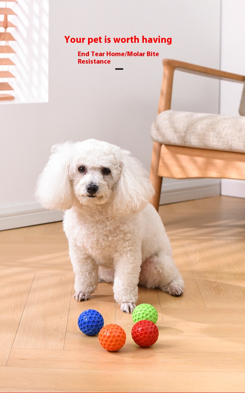 Dog Vocalization Bite-resistant Molar Relieving Stuffy Toy Ball