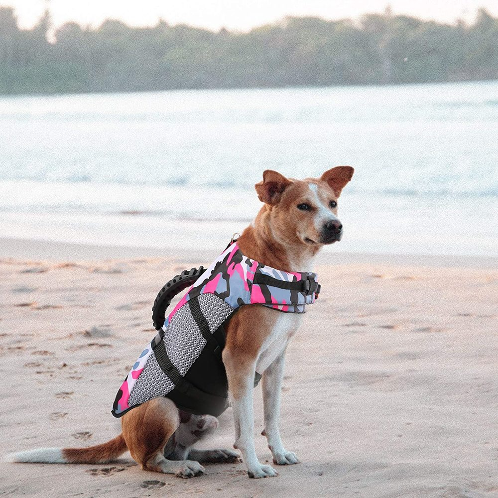 Title 6, Ropa de entrenamiento para perros al aire libre...