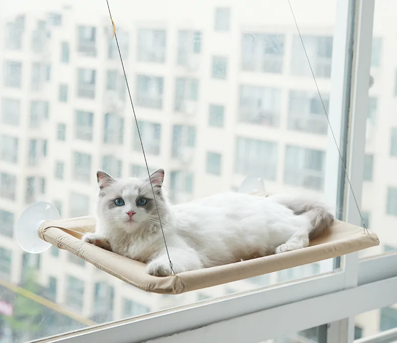 Sunspot Window Perch
