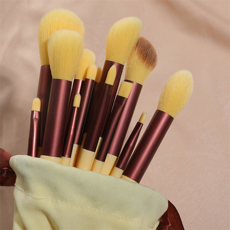 Title 9, 13 Pcs Makeup Brush Set for flawless applicatio...