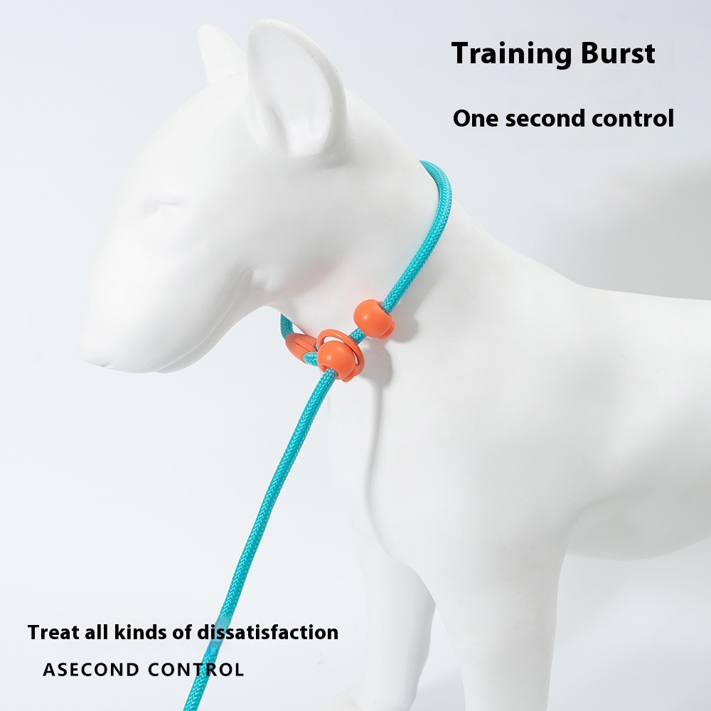 Title 14, Explosion-proof dog leash with hand holding, du...