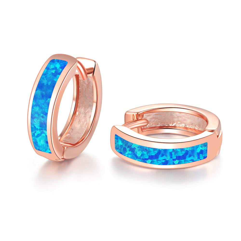 Title 6, Aubao Small Ring Earrings Plated With Platinum ...