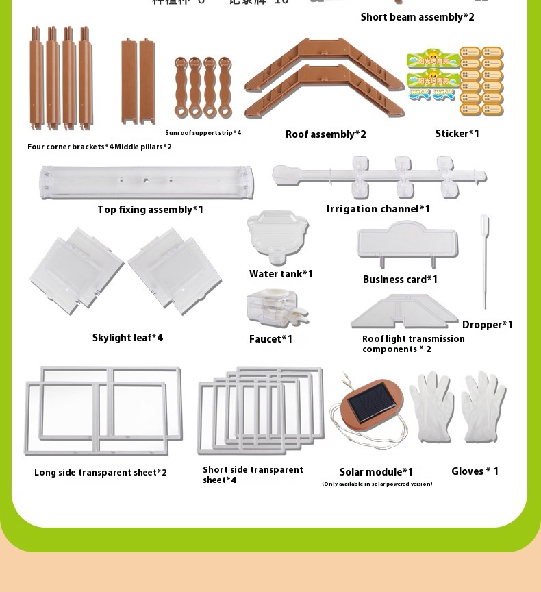 Title 3, DIY-plantplant voor kinderen, Sunshine Room, Pl...