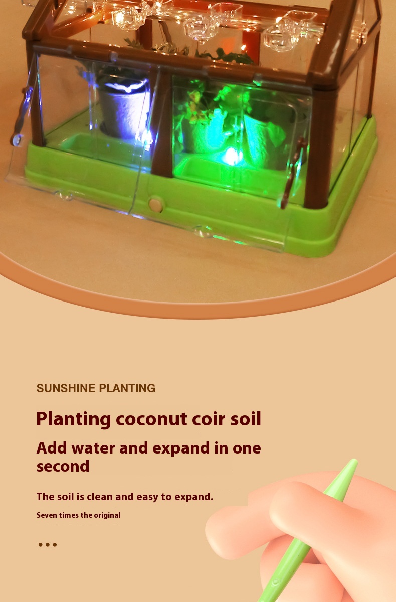 Title 4, DIY-plantplant voor kinderen, Sunshine Room, Pl...