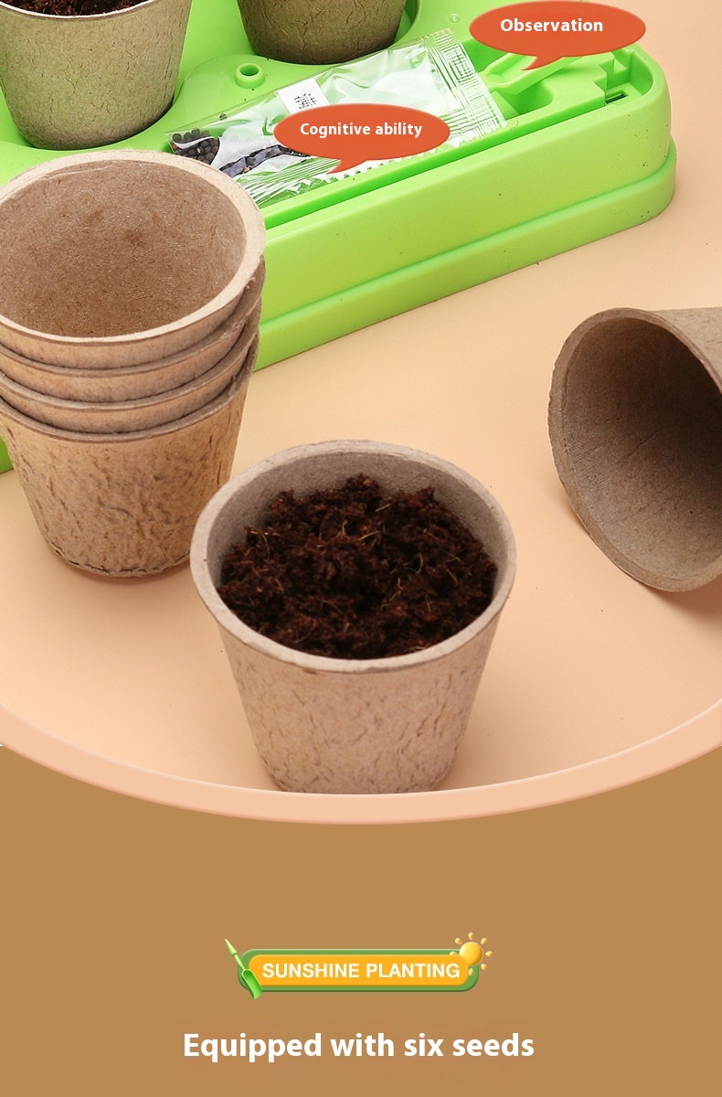 Title 6, DIY-plantplant voor kinderen, Sunshine Room, Pl...