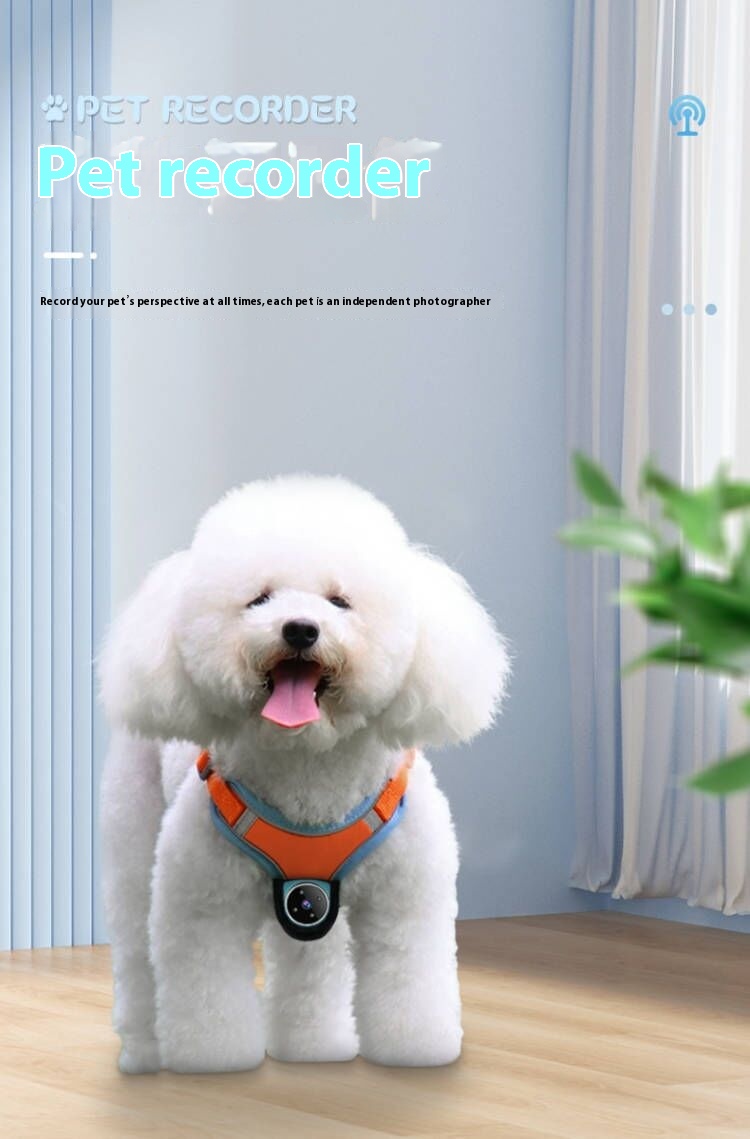 Pets Recorder: Motion Recording Collar with Action Camera 