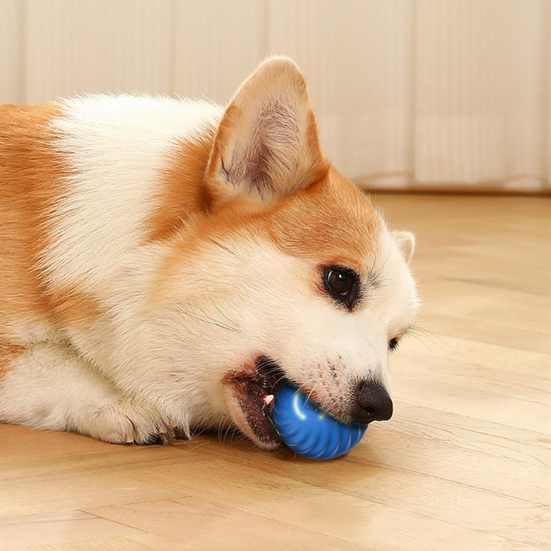 Title 1, Hundespielzeug Gummiball für Hunde, bissfeste K...