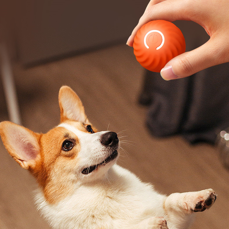 Title 3, Hundespielzeug Gummiball für Hunde, bissfeste K...