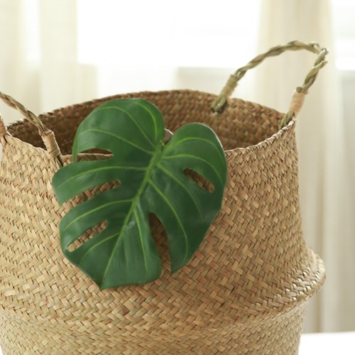 Title 3, Monstera Deliciosa Curtain Buckle Bandage Punch...