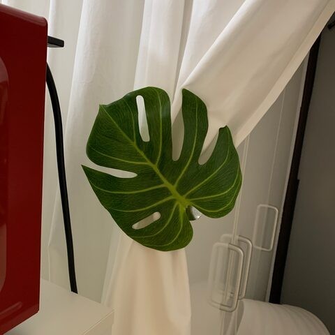 Title 8, Monstera Deliciosa Curtain Buckle Bandage Punch...