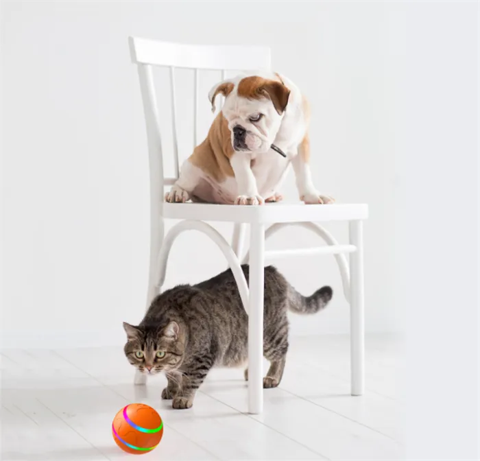 Rechargeable Automatic Rolling Cat Ball, Self-Rotating Interactive Toy Ball for Indoor Cats - detail photo 1