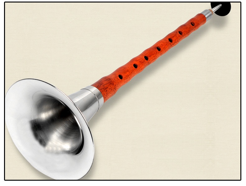 Title 1, Suona Horn Musical Instrument BCEFG D Tuning Be...