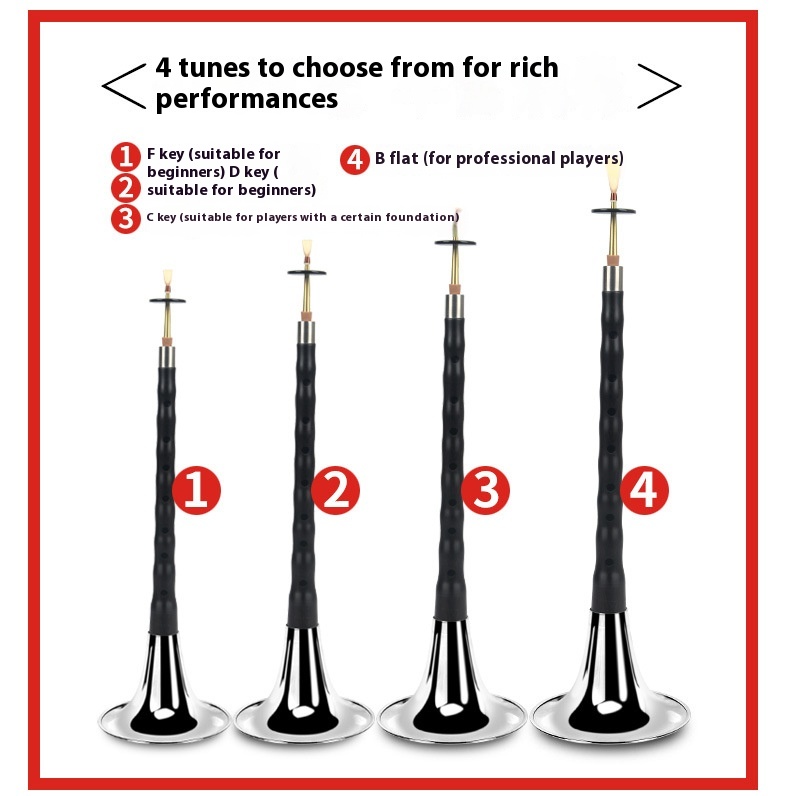 Title 12, Suona Horn Muzički Instrument BCEFG D Štim za P...