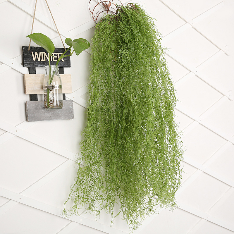 Title 4, Beauty Must Wall Hanging Air Grass Old Man Must...