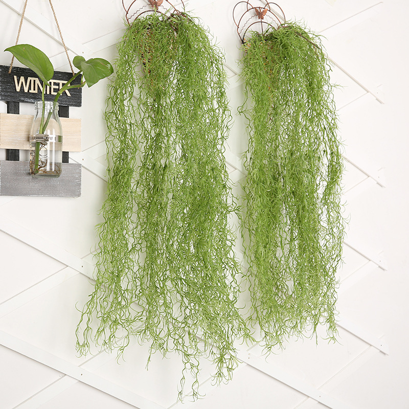 Title 5, Beauty Must Wall Hanging Air Grass Old Man Must...