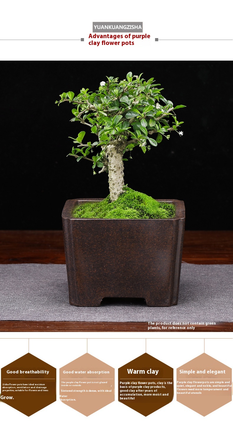 Title 2, Purple Sand Flower Pot Desktop Square Bonsai Basin