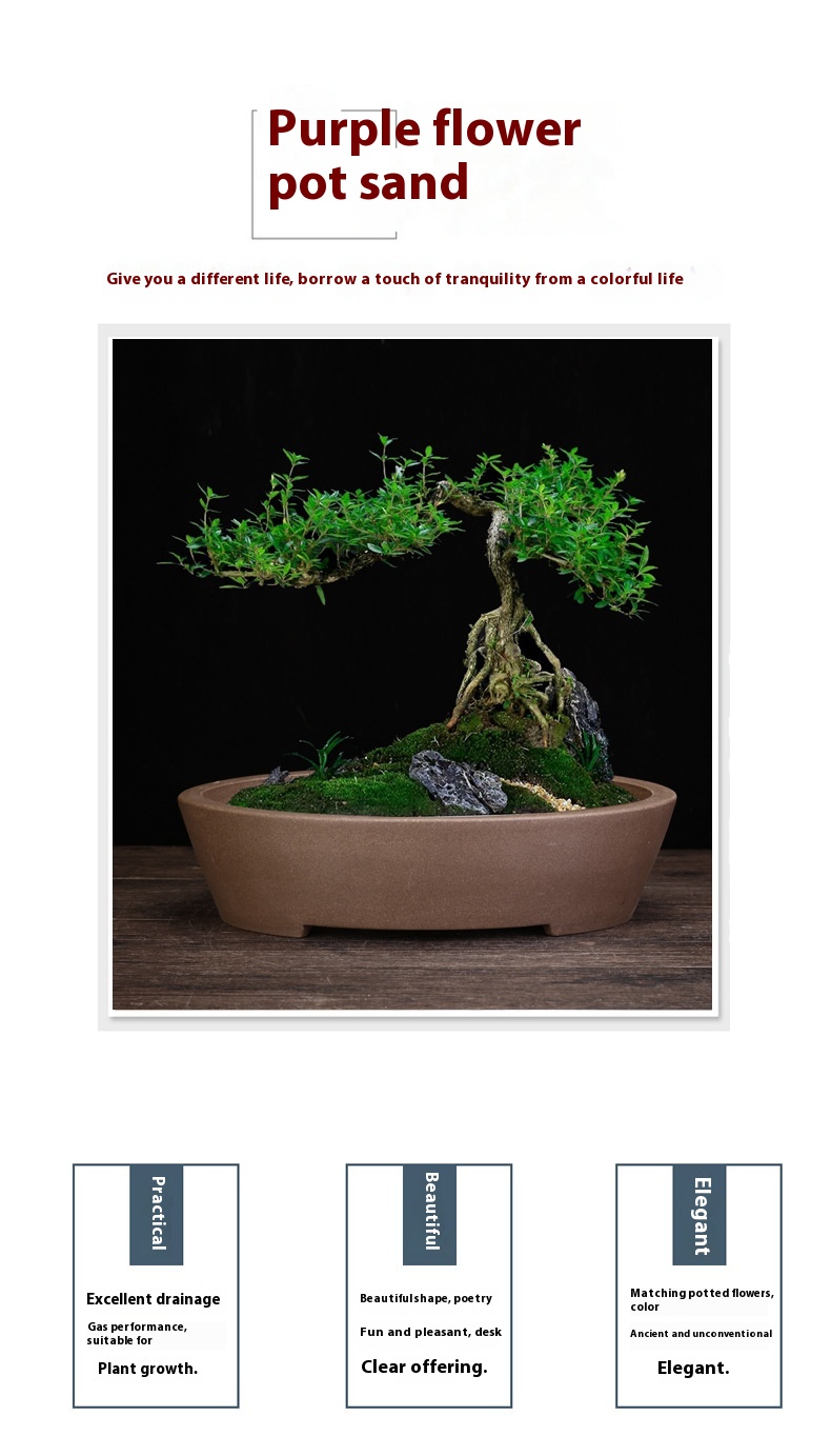 Title 3, Purple Sand Orchid Pots Household Square Bonsai...