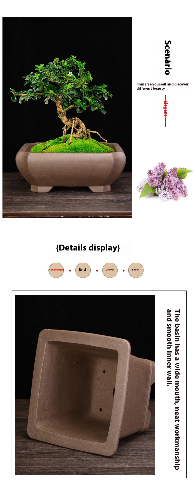 Title 4, Purple Sand Orchid Pots Household Square Bonsai...