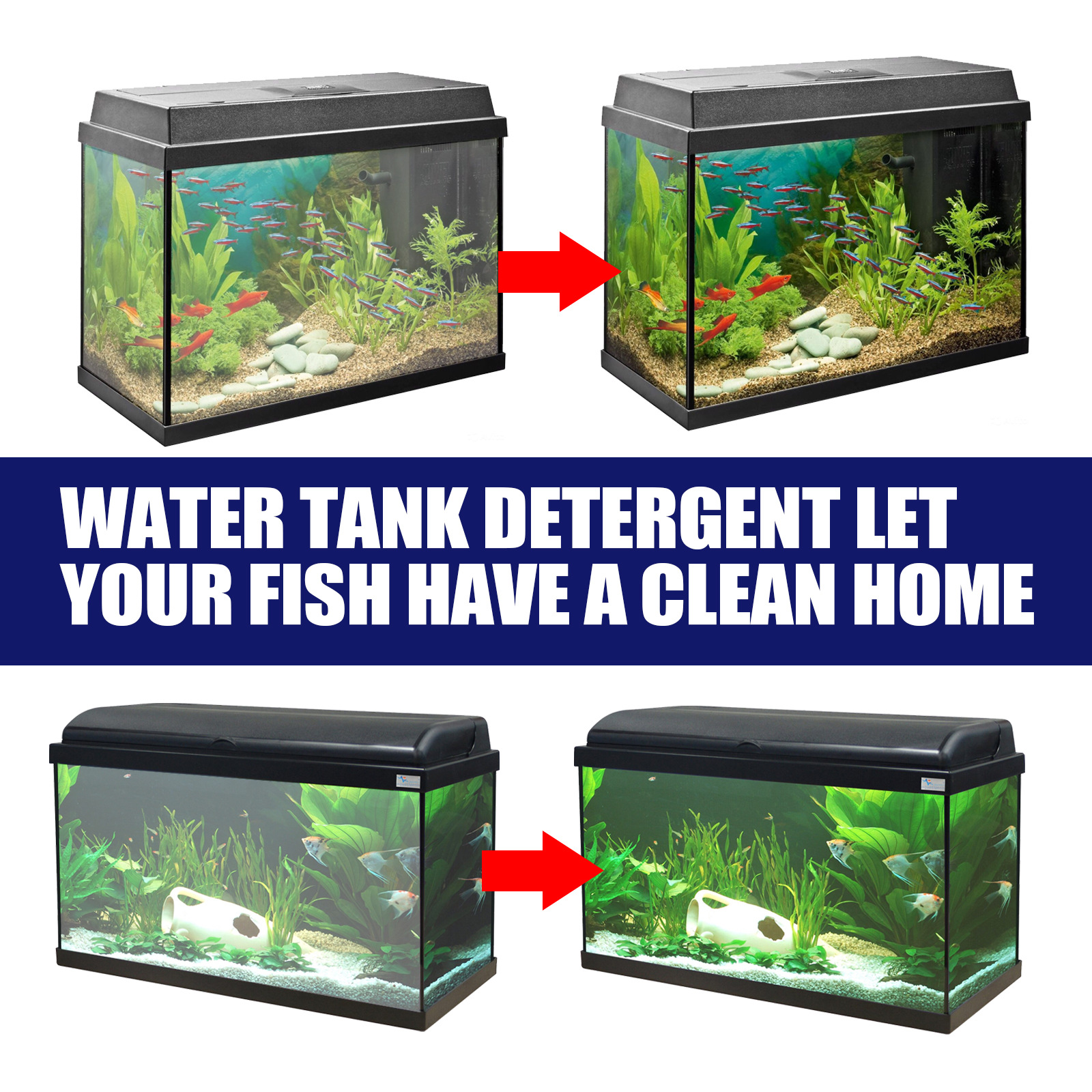 Title 3, Algae-removing And Moss-removing Agent Aquarium