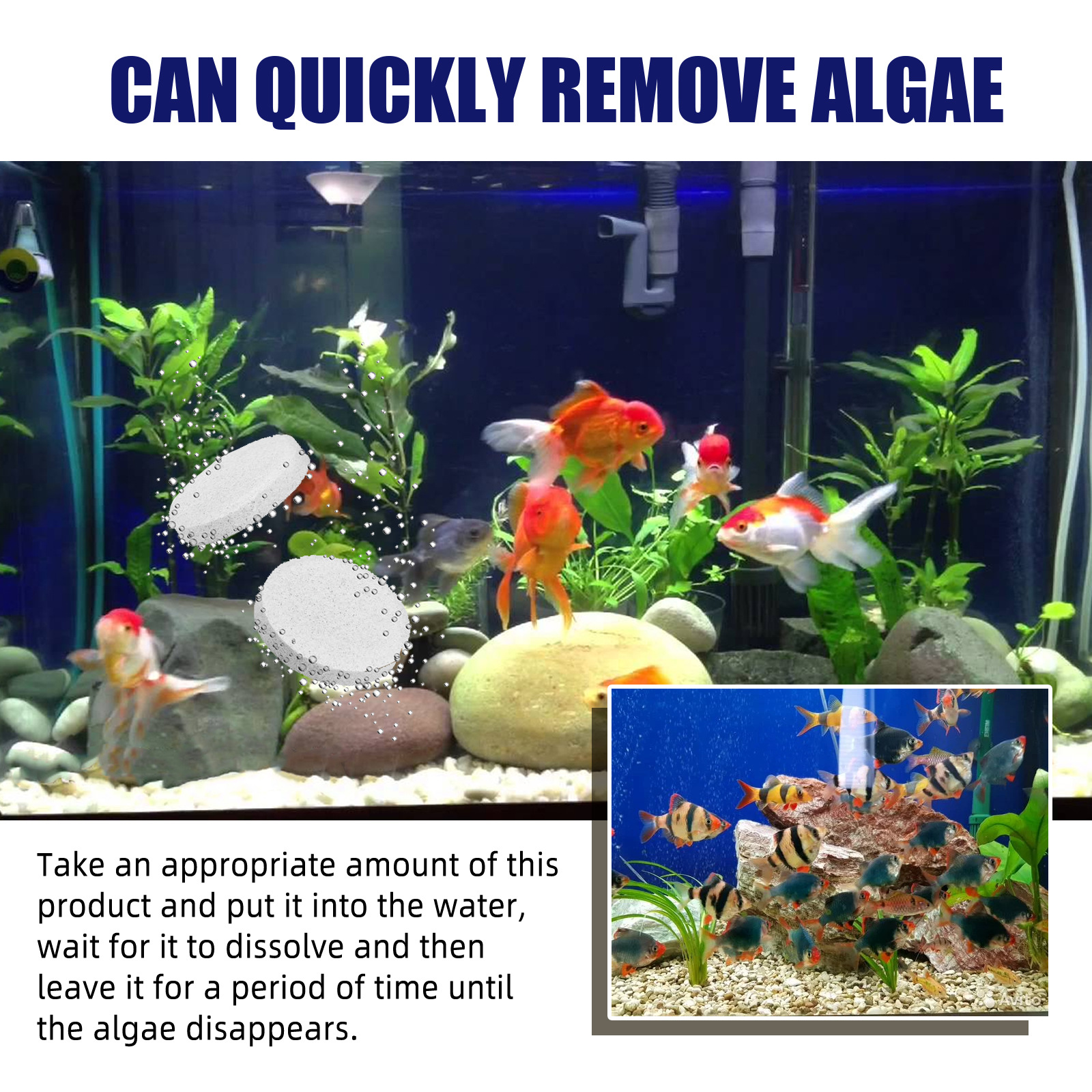 Title 6, Algae-removing And Moss-removing Agent Aquarium