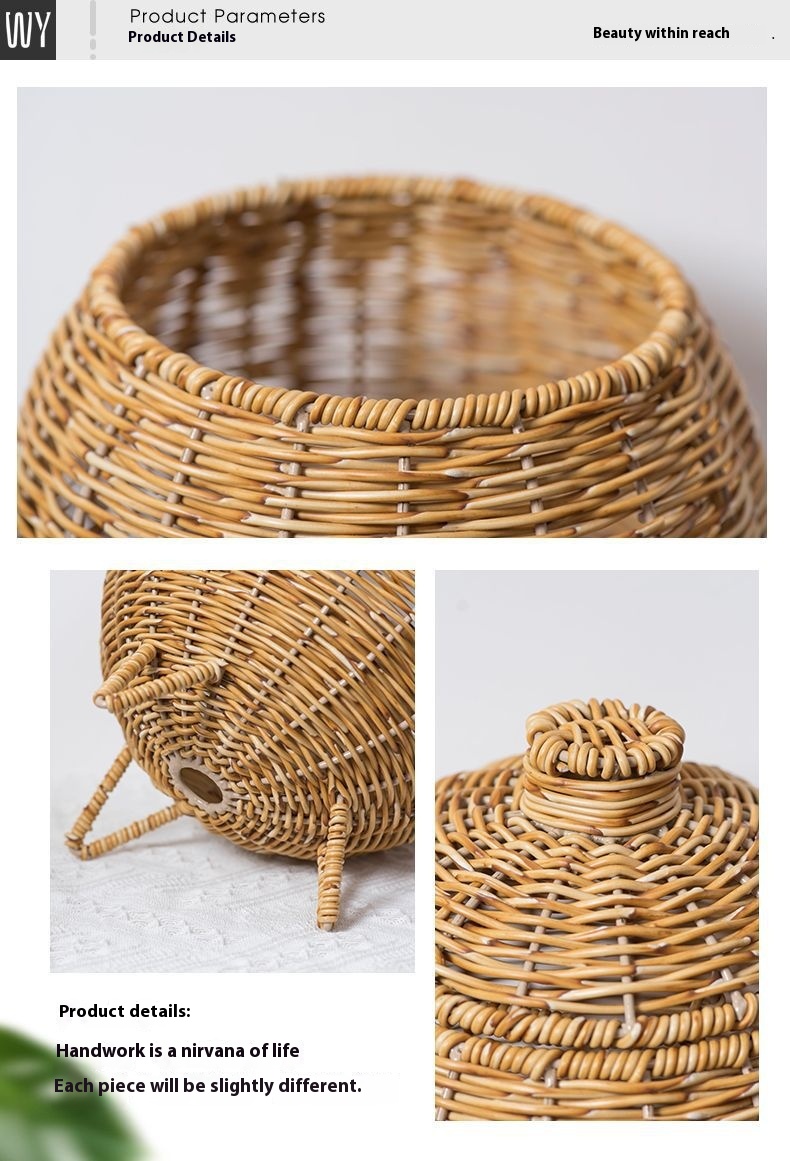 Title 9, Hand-woven Plant Basket Oval Pumpkin Desktop Su...