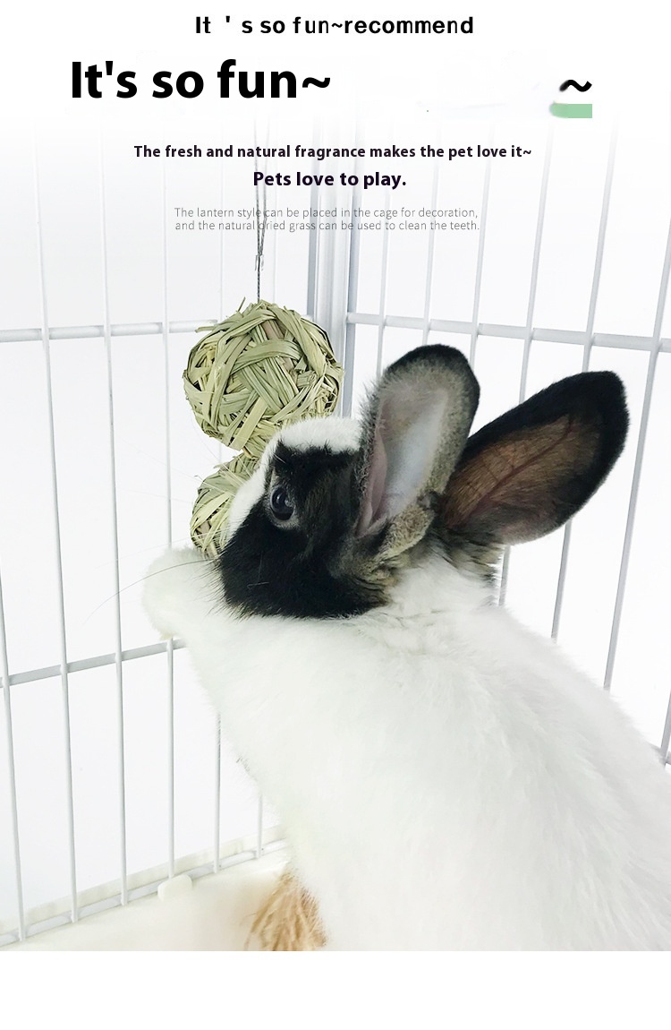 Title 6, Radish Vallei Pet Rabbit Strav Ball Hanging Str...