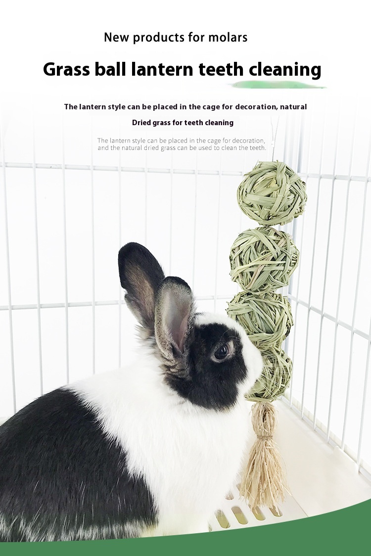 Title 7, Radish Vallei Pet Rabbit Strav Ball Hanging Str...