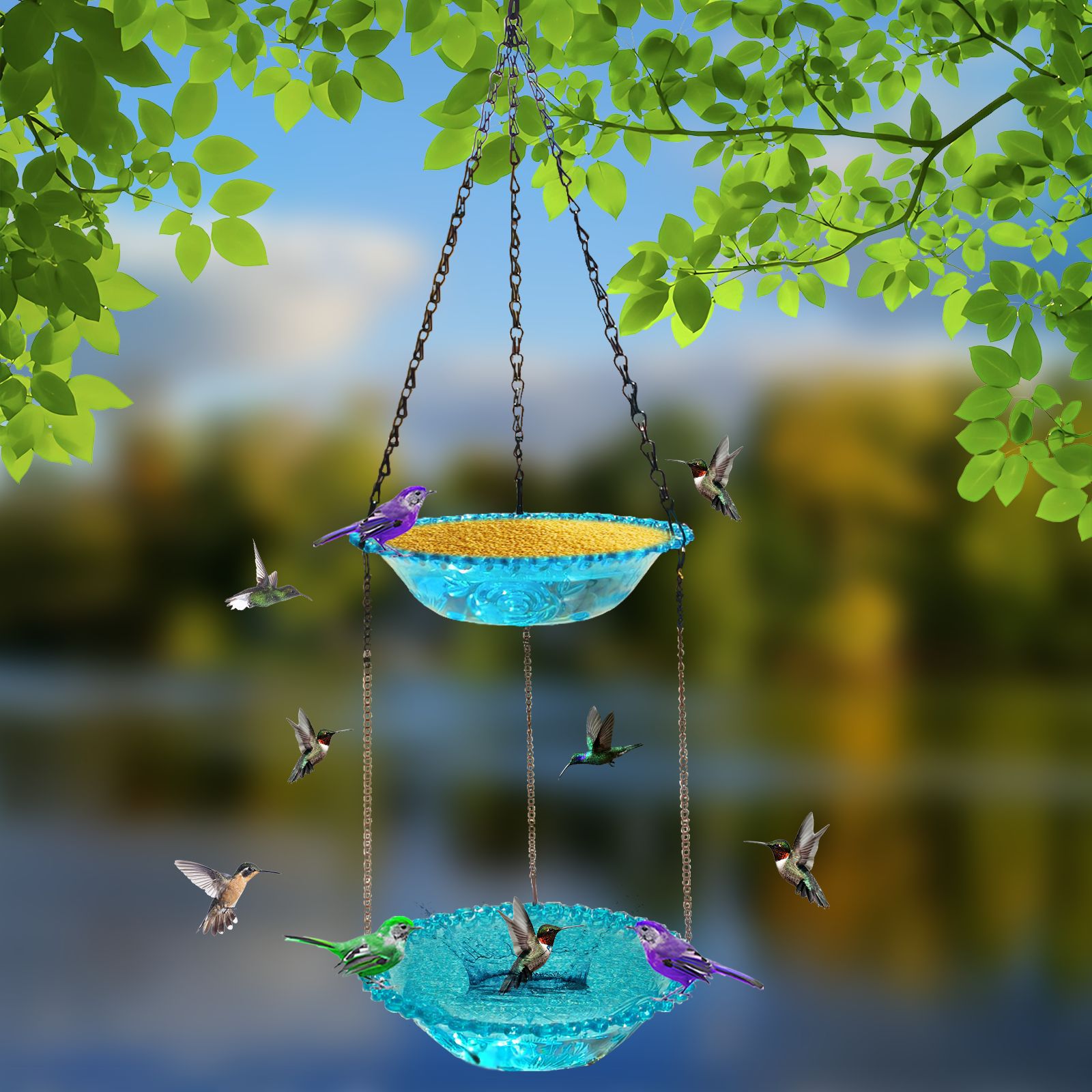 Title 5, Double Outdoor Hanging Feeder Courtyard